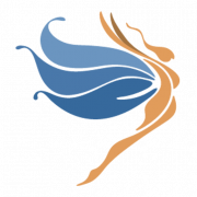 Anjana Data logo