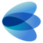 Irisity logo